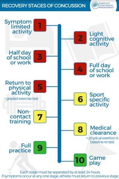 Concussion Recovery Stages